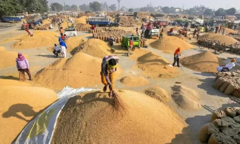 धान खरीदी का अनुमान 70 से बढ़ाकर 78 लाख मीट्रिक टन: केंद्र सरकार का बड़ा निर्णय, प्रदेश के किसानों को मिलेगा लाभ