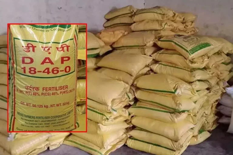 मुख्यमंत्री ने कहा किसानों को परेशान होने की जरूरत नहीं,एनपीके और एसएसपी उर्वरकों के लक्ष्य में 4.62 लाख मेट्रिक टन की बढ़ोत्तरी मुख्यमंत्री ने कहा किसानों को परेशान होने की जरूरत नहीं,एनपीके और एसएसपी उर्वरकों के लक्ष्य में 4.62 लाख मेट्रिक टन की बढ़ोत्तरी