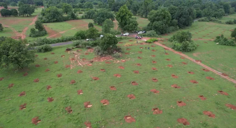 मेगा ऑयल पॉम प्लांटेशन ड्राइव से जुड़ रहे किसान मेगा ऑयल पॉम प्लांटेशन ड्राइव से जुड़ रहे किसान