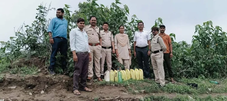 आबकारी विभाग की कार्रवाई, महुआ लाहन और शराब जब्त