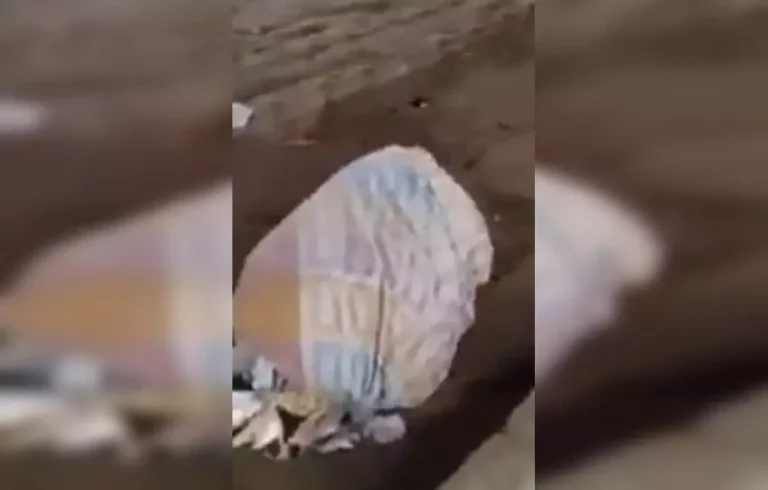 कत्ल का सनसनीखेज मामला, शव बोरे में मिला, ससुराल के इतने लोग गिरफ्तार कत्ल का सनसनीखेज मामला, शव बोरे में मिला, ससुराल के इतने लोग गिरफ्तार