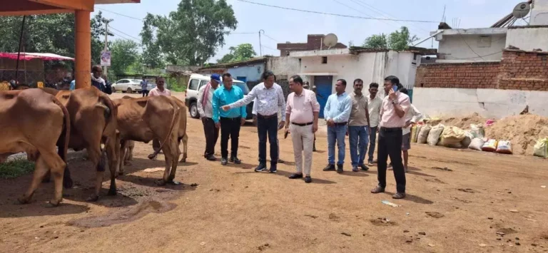 आरंग बकतरा को पशुपालन हब के रूप में विकसित करने के निर्देश