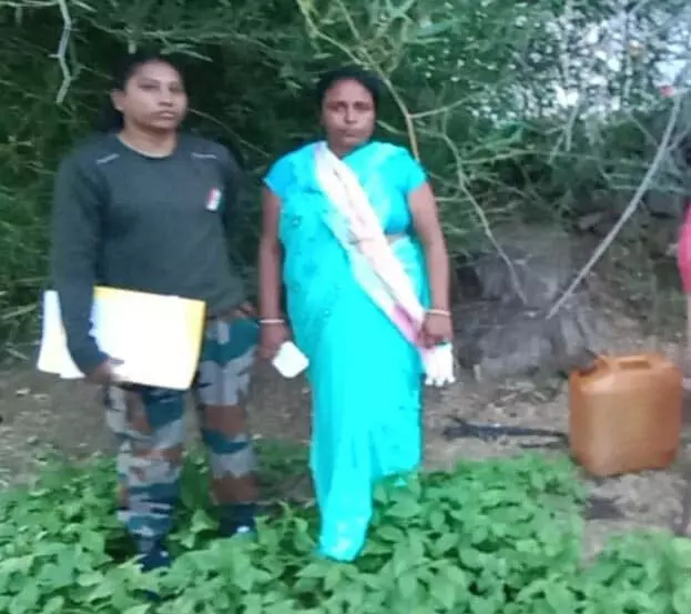 घर की बाड़ी में महुआ शराब बनाने वाली महिला गिरफ्तार घर की बाड़ी में महुआ शराब बनाने वाली महिला गिरफ्तार