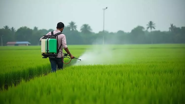 खरीफ में डीएपी की कमी नहीं: नैनो डीएपी से प्रति एकड़ 75 रुपये की बचत, किसानों को मिल रहा लाभ खरीफ में डीएपी की कमी नहीं: नैनो डीएपी से प्रति एकड़ 75 रुपये की बचत, किसानों को मिल रहा लाभ