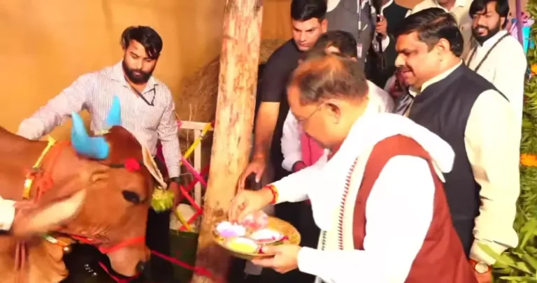 CM साय ने गाय और बछड़े को लोंदी खिलाकर दिया पशुधन संरक्षण का संदेश, हरेली तिहार मनाया