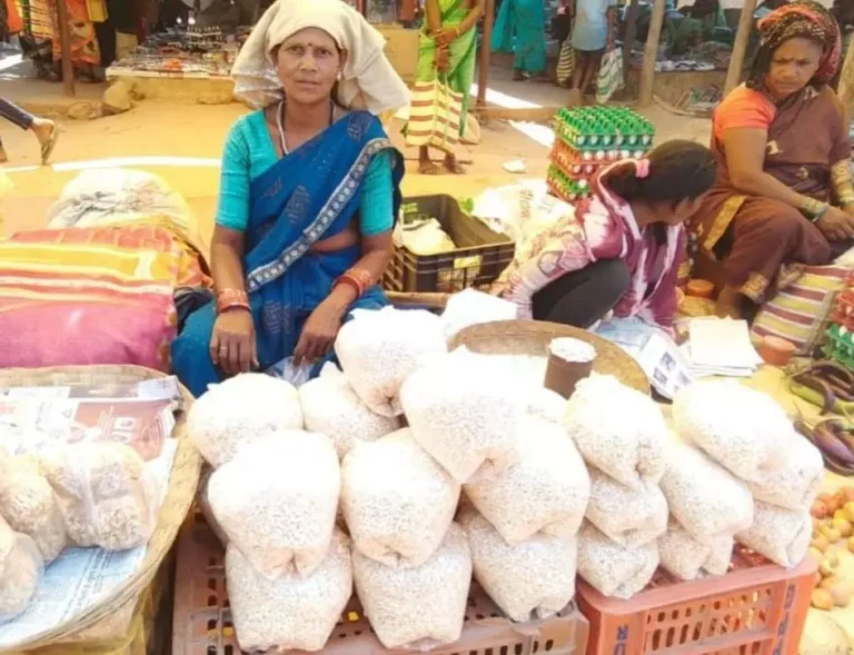 महतारी वंदन योजना ने बदली हीरोंदी की जिंदगी महतारी वंदन योजना ने बदली हीरोंदी की जिंदगी