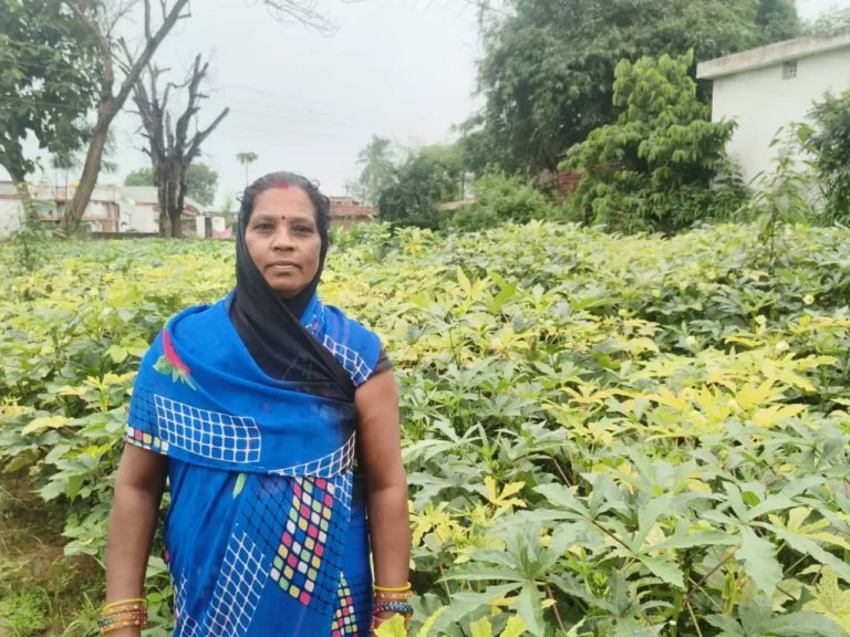 आधुनिक खेती और मेहनत से केतकी बाई बनी लखपति दीदी आधुनिक खेती और मेहनत से केतकी बाई बनी लखपति दीदी