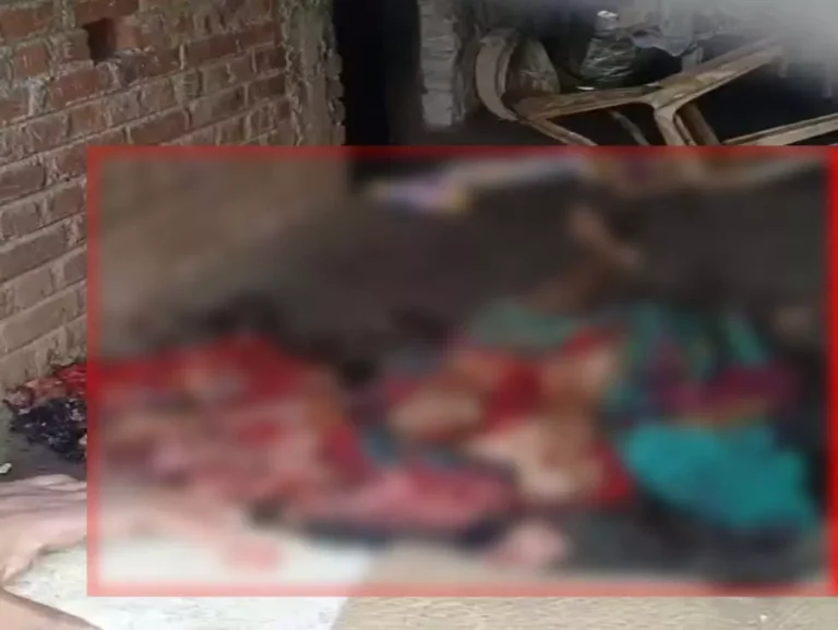 कलयुगी बेटे ने की मां की कुल्हाड़ी से हत्या, वारदात के बाद गाना गाता रहा आरोपी कलयुगी बेटे ने की मां की कुल्हाड़ी से हत्या, वारदात के बाद गाना गाता रहा आरोपी