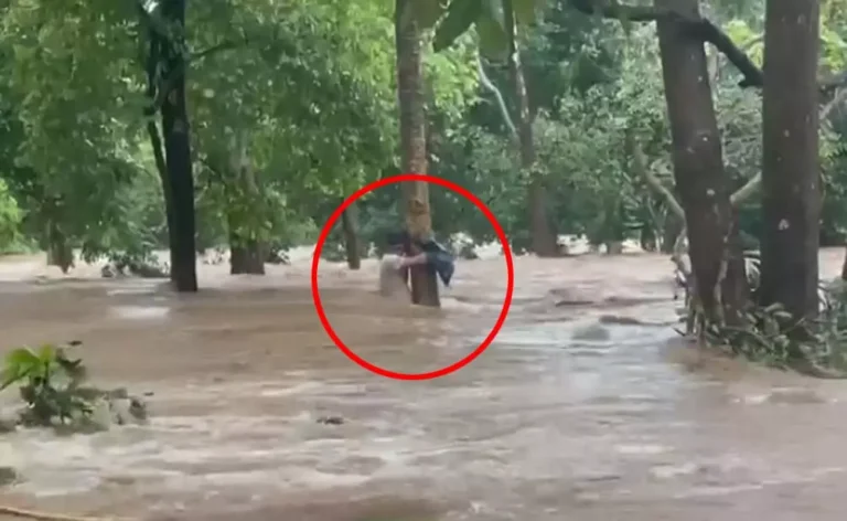 बारिश से जनजीवन प्रभावित, नदी-नाले उफान पर, नाले में फंसे ग्रामीण का रेस्क्यू बारिश से जनजीवन प्रभावित, नदी-नाले उफान पर, नाले में फंसे ग्रामीण का रेस्क्यू