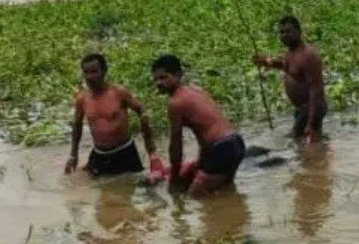 आरंग पुल से लापता महिला की लाश मिली आरंग पुल से लापता महिला की लाश मिली