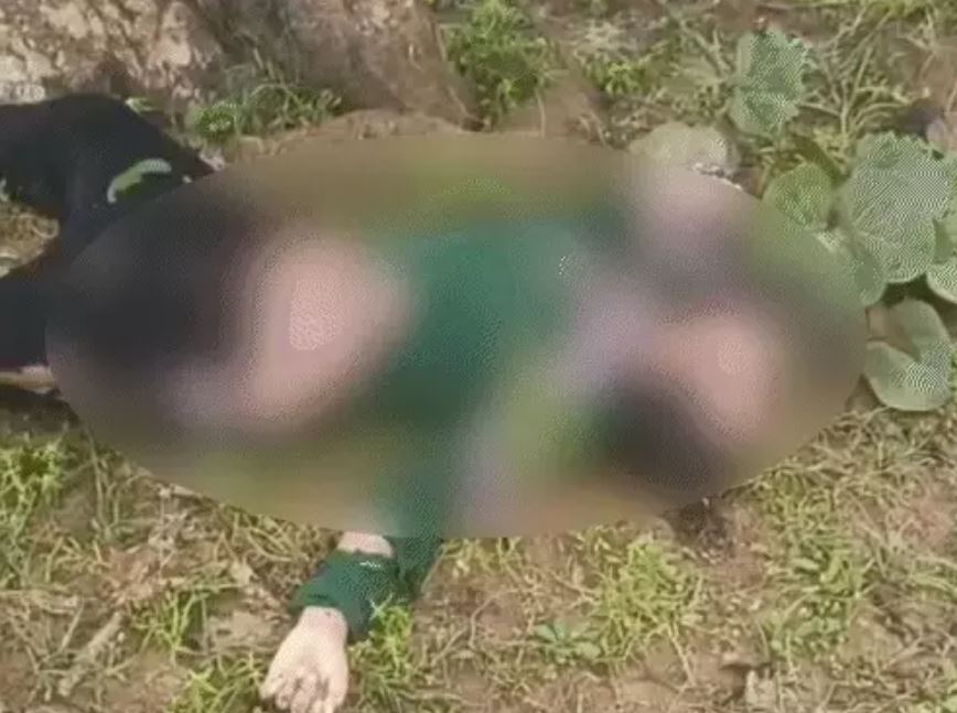 पेड़ में गिरी आसमान से बिजली, दो की मौत पेड़ में गिरी आसमान से बिजली, दो की मौत