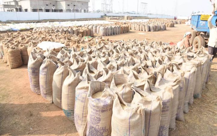 राज्य के सभी जिलों में समर्थन मूल्य पर धान खरीदी का सिलसिला जारी राज्य के सभी जिलों में समर्थन मूल्य पर धान खरीदी का सिलसिला जारी