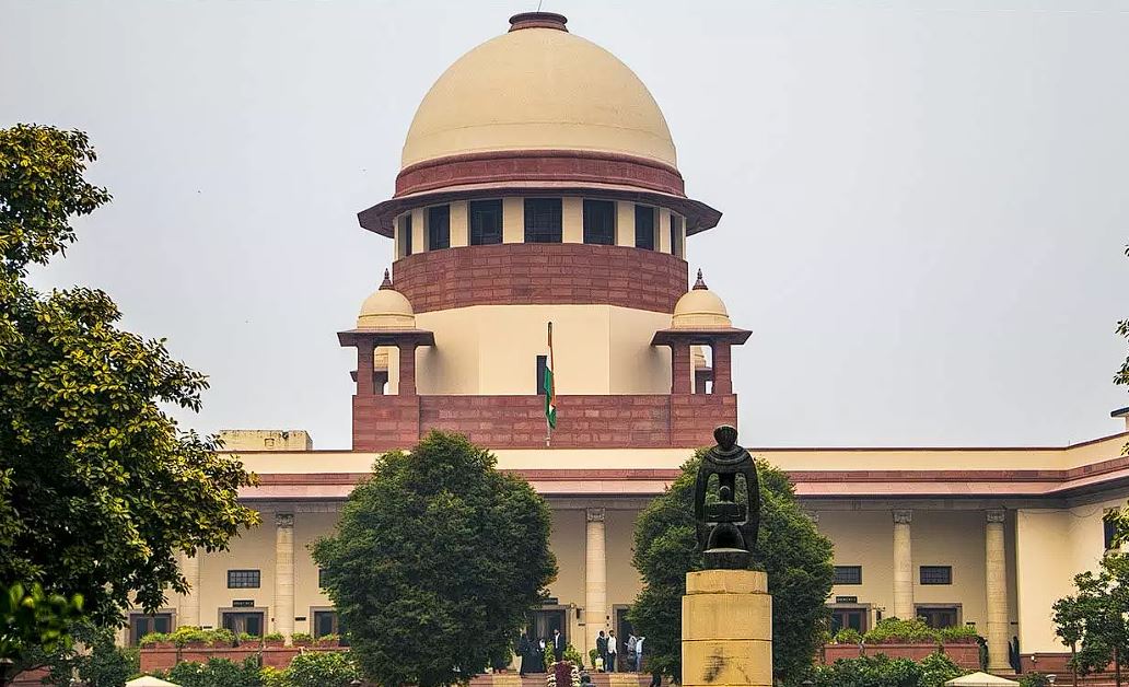 सड़क पर नहीं दिखने चाहिए एक भी आवारा कुत्ते, सुप्रीम कोर्ट सख्त सड़क पर नहीं दिखने चाहिए एक भी आवारा कुत्ते, सुप्रीम कोर्ट सख्त