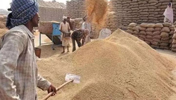 धान खरीदी 2025, तुहर टोकन मोबाइल ऐप शुरू धान खरीदी 2025, तुहर टोकन मोबाइल ऐप शुरू