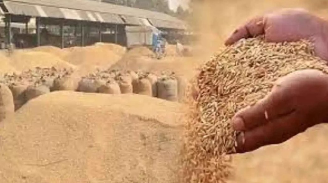 प्रदेश में धान खरीदी का महाअभियान तेजी के साथ जारी प्रदेश में धान खरीदी का महाअभियान तेजी के साथ जारी