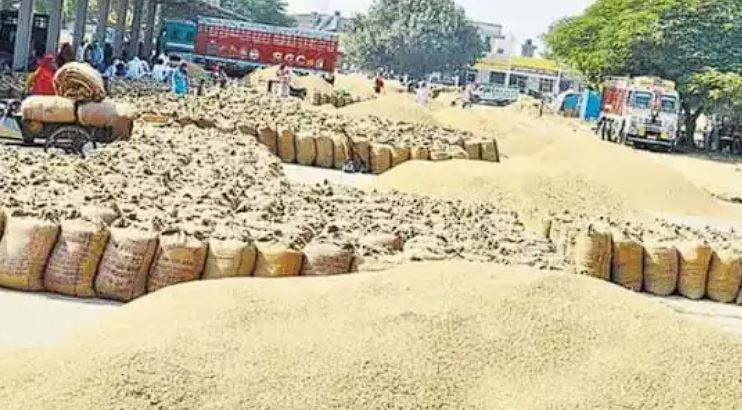 किसानों को अब दिन-रात कभी भी मिल रहा तूहर टोकन ₹ 41.51