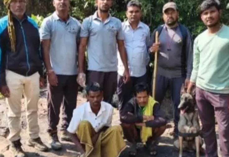 सांभर को मारने वाले 12 शिकारी गिरफ्तार, फरार आरोपियों की तलाश जारी सांभर को मारने वाले 12 शिकारी गिरफ्तार, फरार आरोपियों की तलाश जारी