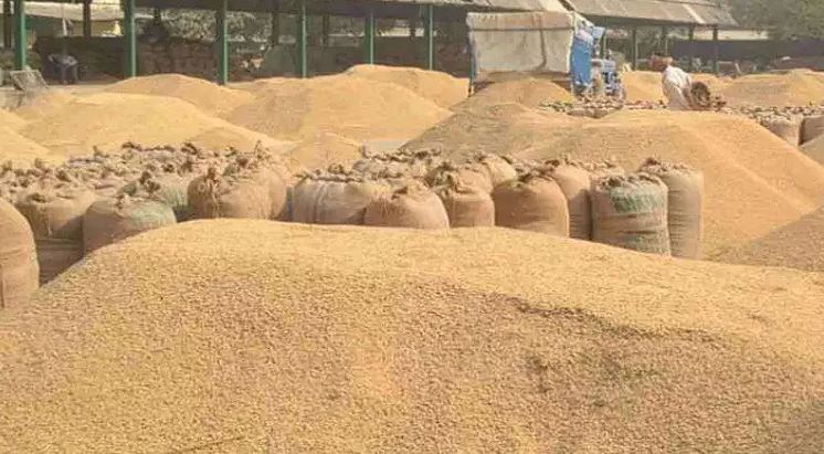 तीन प्राधिकृत अधिकारी पद से हटाए गए, धान खरीदी केंद्रों में अव्यवस्था पर कार्रवाई