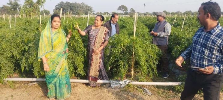 ड्रिप तकनीक से बदली खेती की तस्वीर ड्रिप तकनीक से बदली खेती की तस्वीर