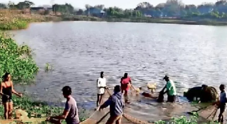 मछली जाल में मगरमच्छ फंसने से मछुआरों के उड़े होश, वन विभाग को बुलाया