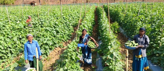 बिहान योजना से बनी लखपति दीदी