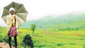 छत्तीसगढ़ का ऐतिहासिक फैसला जशपुर में आदिवासियों की 114 एकड़ जमीन मतांतरितों से होगी वापस छत्तीसगढ़ का ऐतिहासिक फैसला जशपुर में आदिवासियों की 114 एकड़ जमीन मतांतरितों से होगी वापस