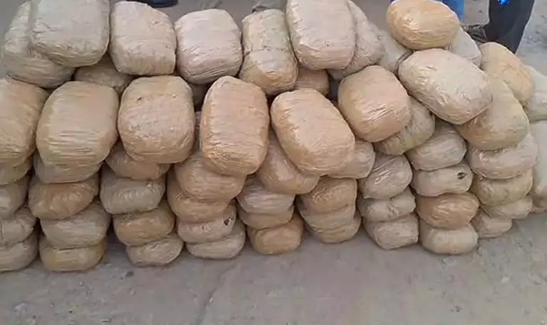 गांजा तस्करी पर बड़ी कार्रवाई, 112 किलो गांजा के साथ 2 अंतरराज्यीय तस्कर गिरफ्तार गांजा तस्करी पर बड़ी कार्रवाई, 112 किलो गांजा के साथ 2 अंतरराज्यीय तस्कर गिरफ्तार