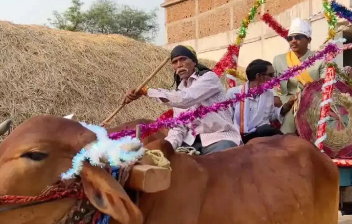 छत्तीसगढ़ में अनोखी शादी! बैलगाड़ी पर निकली बारात, दूल्हे ने दिया संस्कृति बचाने का संदेश