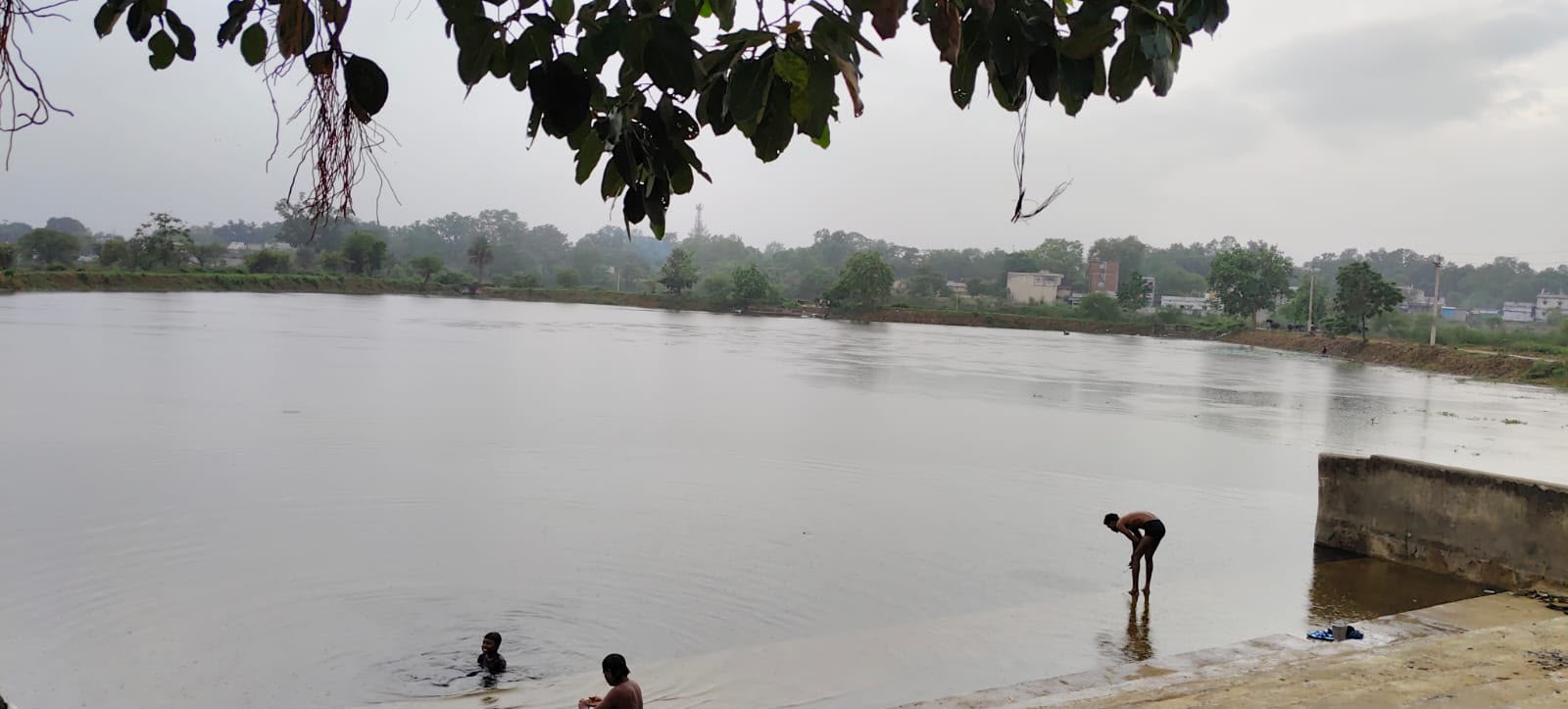 Gharghoda Bagmuda Pond Controversy: बागमुड़ा तालाब को दोबारा गंदा करने की कथित साजिश, सफाई के बाद जलकुंभी डालने व मेड़ से छेड़छाड़ का आरोप Gharghoda Bagmuda Pond Controversy: बागमुड़ा तालाब को दोबारा गंदा करने की कथित साजिश, सफाई के बाद जलकुंभी डालने व मेड़ से छेड़छाड़ का आरोप